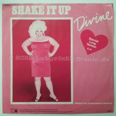 Divine - Shake It Up • Special Long Version • 12" Vinyl Maxi • EX - Labyrinth Music