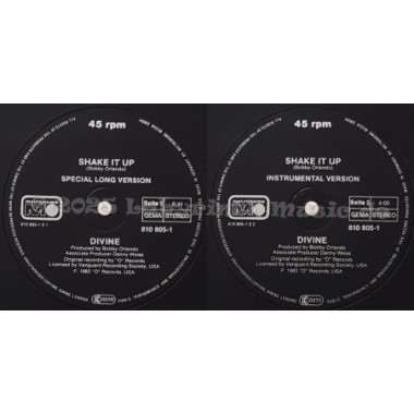 Divine - Shake It Up • Special Long Version • 12" Vinyl Maxi • EX - Labyrinth Music