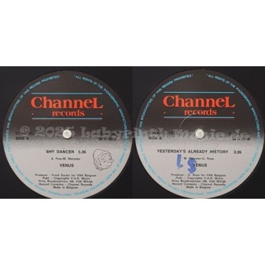 Venus - Shy Dancer • 12" Vinyl Maxi • EX - Labyrinth Music