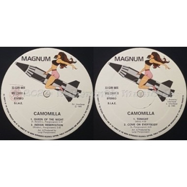 Camomilla - Queen Of The Night • 12" Vinyl Maxi • EX - Labyrinth Music