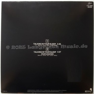 The Romantics - Talking In Your Sleep • Special Remix • 12" Vinyl Maxi • MINT - Labyrinth Music