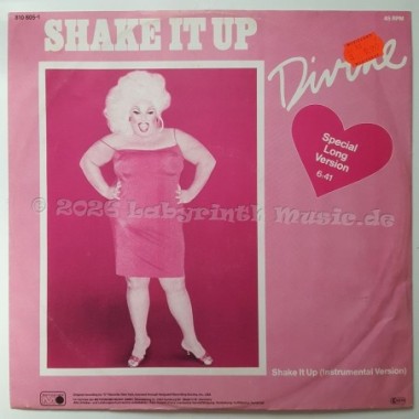 Divine - Shake It Up • Special Long Version • 12" Vinyl Maxi • EX - Labyrinth Music