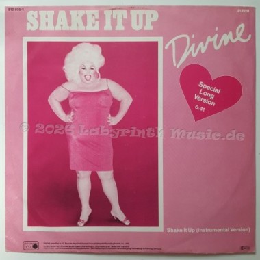 Divine - Shake It Up • Special Long Version • 12" Vinyl Maxi • EX - Labyrinth Music