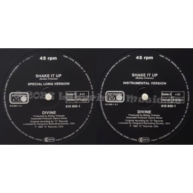Divine - Shake It Up • Special Long Version • 12" Vinyl Maxi • EX - Labyrinth Music