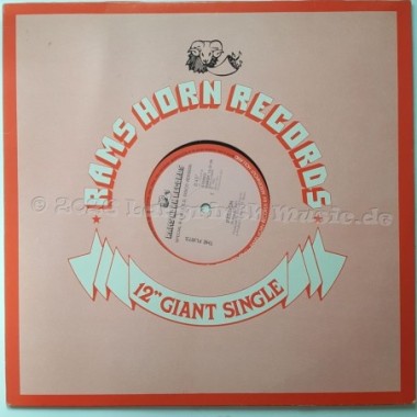 The Flirts - Passion • 12" Vinyl Maxi • NM - Labyrinth Music