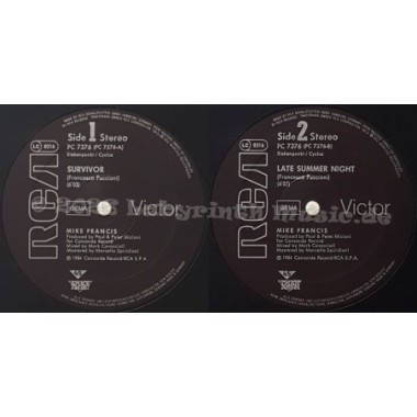 Mike Francis - Survivor • 12" Vinyl Maxi • EX - Labyrinth Music