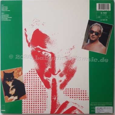 Roger Chapman - The Shadow Knows • 12" Vinyl LP • NM - Labyrinth Music