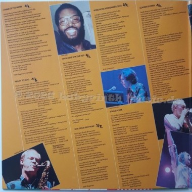 Roger Chapman - The Shadow Knows • 12" Vinyl LP • NM - Labyrinth Music