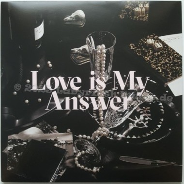 Synergic Silence Ft. Fred Ventura - Love Is My Answer • 12" Vinyl Maxi • MINT - Labyrinth Music