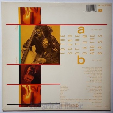 Dizzi Heights - To The Sound Of The Drum & The Bass • 12" Vinyl Maxi • EX - Labyrinth Music