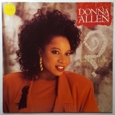 Donna Allen - Can We Talk • 12" Vinyl Maxi • EX - Labyrinth Music