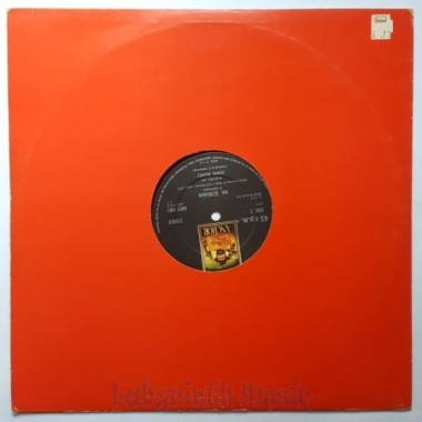 Donna McGhee - Do As I Do • 12" Vinyl Maxi • EX - Labyrinth Music