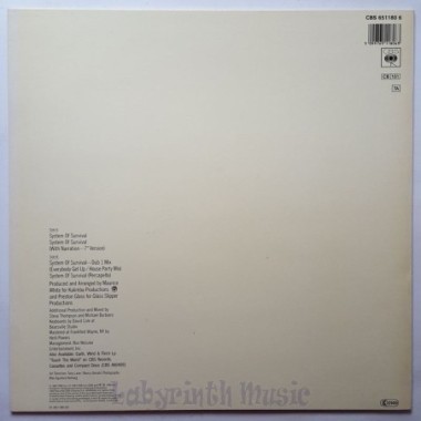 Earth, Wind & Fire - System Of Survival • 12" Vinyl Maxi • MINT - Labyrinth Music