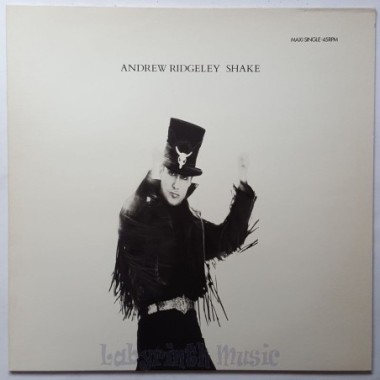 Andrew Ridgeley - Shake • 12" Vinyl Maxi • MINT - Labyrinth Music