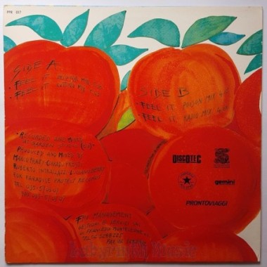 F.P.I. Project - Feel It • 12" Vinyl Maxi - Labyrinth Music