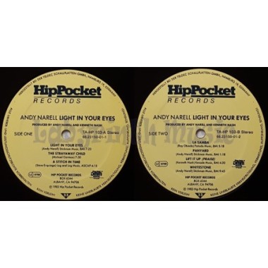 Andy Narell - Light In Your Eyes • 12" Vinyl LP - Labyrinth Music