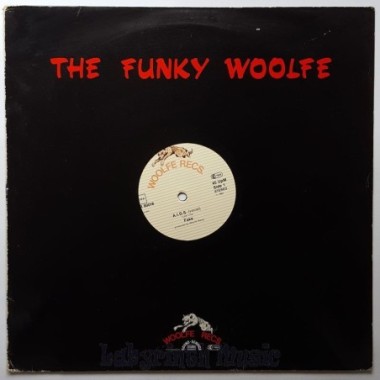 Fake - A.I.D.S. • 12" Vinyl Maxi - Labyrinth Music