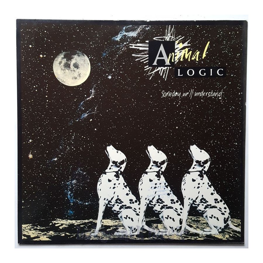 Animal Logic - Someday We'll Understand • 12" Vinyl Maxi • EX - Labyrinth Music