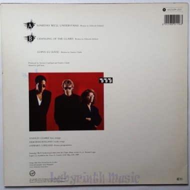 Animal Logic - Someday We'll Understand • 12" Vinyl Maxi • EX - Labyrinth Music