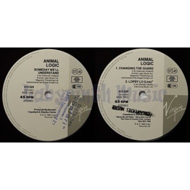 Animal Logic - Someday We'll Understand • 12" Vinyl Maxi • EX - Labyrinth Music