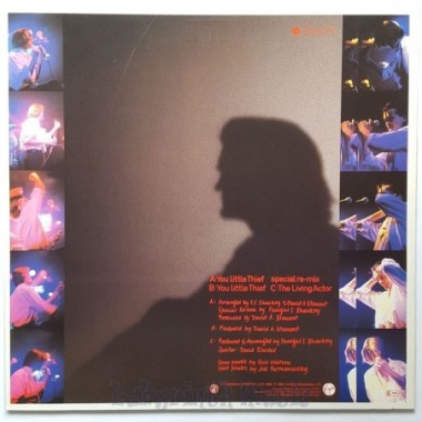 Feargal Sharkey - You Little Thief • Special Re-Mix • 12" Vinyl Maxi - Labyrinth Music