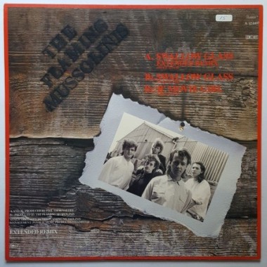 The Flaming Mussolinis - Swallow Glass • 12" Vinyl Maxi • MINT - Labyrinth Music