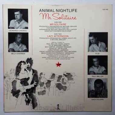Animal Nightlife - Mr Solitaire • 12" Vinyl Maxi - Labyrinth Music