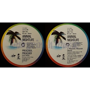 Animal Nightlife - Preacher Preacher • 12" Vinyl Maxi - Labyrinth Music