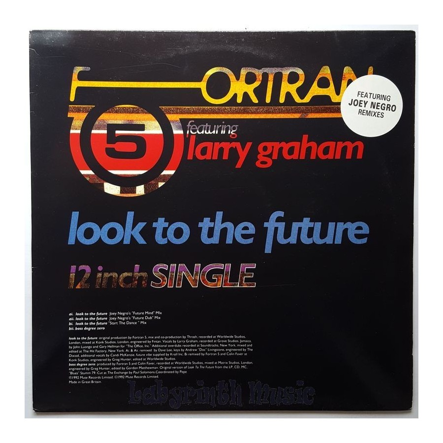 Fortran 5 Feat. Larry Graham - Look To The Future • 12" Vinyl Maxi • NM - Labyrinth Music