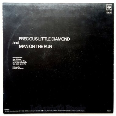 Fox The Fox - Precious Little Diamond • 12" Vinyl Maxi - Labyrinth Music