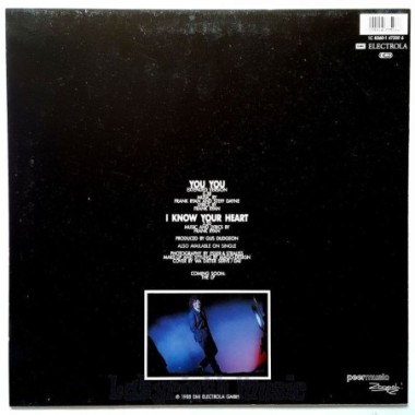 Frank Ryan - You You • 12" Vinyl Maxi • MINT - Labyrinth Music