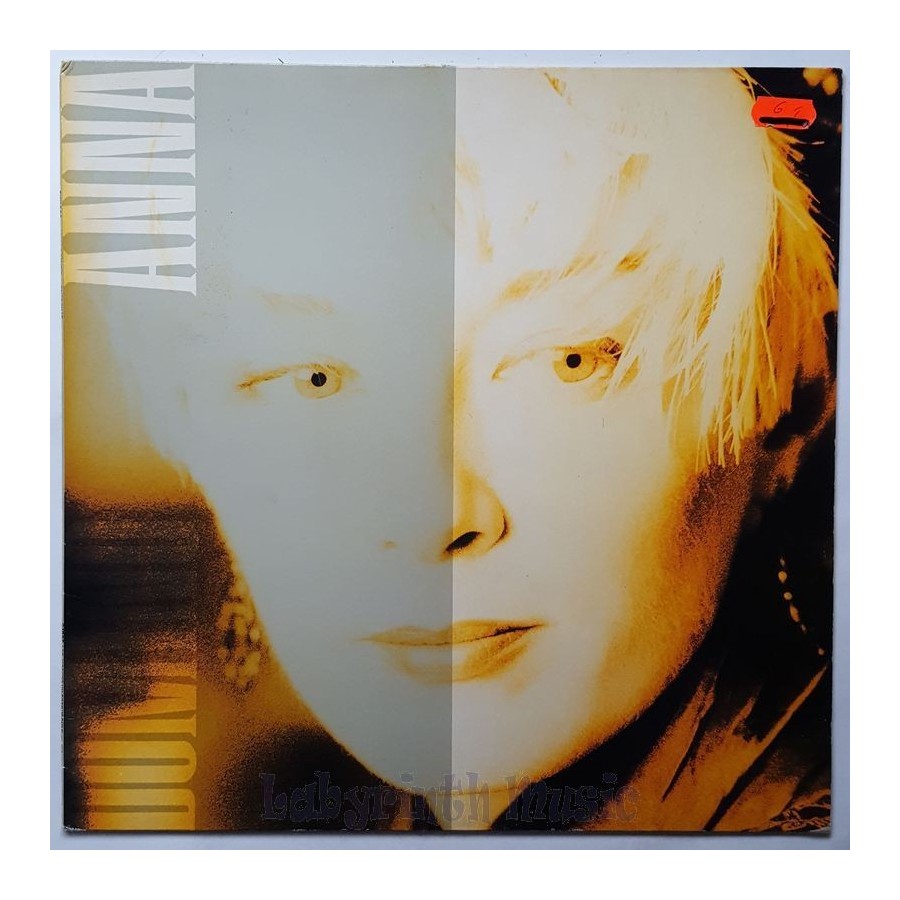 Anna Domino - Take That • 12" Vinyl Maxi • EX - Labyrinth Music