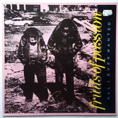Fruits Of Passion - All I Ever Wanted • 12" Vinyl Maxi - Labyrinth Music