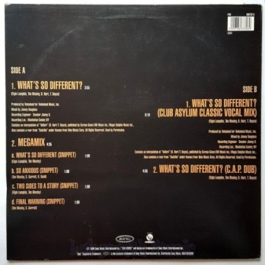 Ginuwine - What's So Different? • 12" Vinyl Maxi - Labyrinth Music