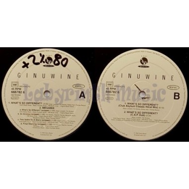 Ginuwine - What's So Different? • 12" Vinyl Maxi - Labyrinth Music