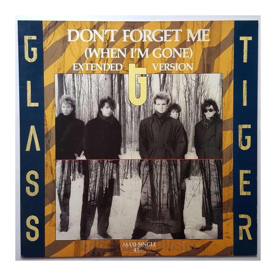 Glass Tiger - Don't Forget Me • 12" Vinyl Maxi • EX - Labyrinth Music