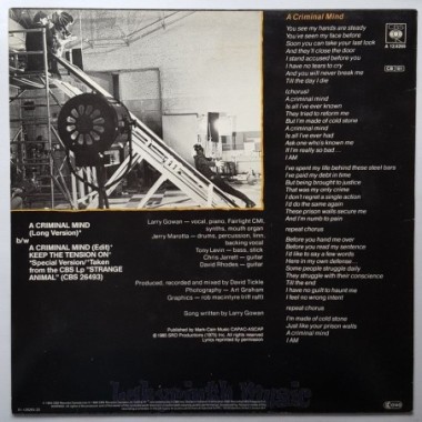 Gowan - A Criminal Mind • 12" Vinyl Maxi - Labyrinth Music