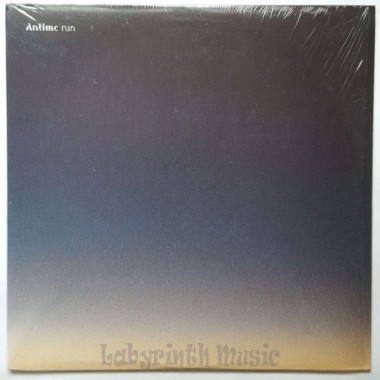 Antimc - Run • 12" Vinyl Maxi • NM - Labyrinth Music