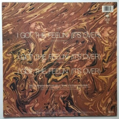 Gregory Abbott - I Got The Feelin' • 12" Vinyl Maxi • MINT - Labyrinth Music