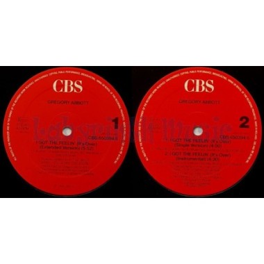 Gregory Abbott - I Got The Feelin' • 12" Vinyl Maxi • MINT - Labyrinth Music