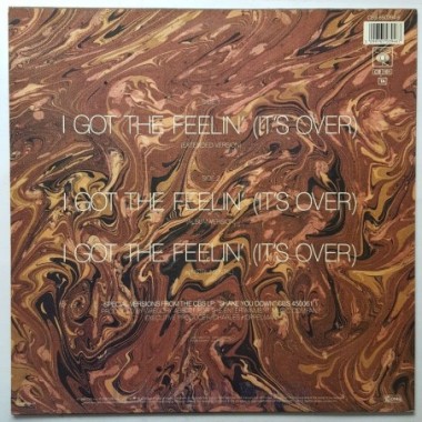 Gregory Abbott - I Got The Feelin' • 12" Vinyl Maxi • EX - Labyrinth Music