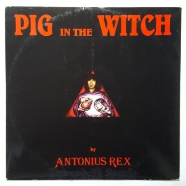 Antonius Rex - Pig In The Witch • 12" Vinyl Maxi - Labyrinth Music