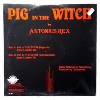 Antonius Rex - Pig In The Witch • 12" Vinyl Maxi - Labyrinth Music