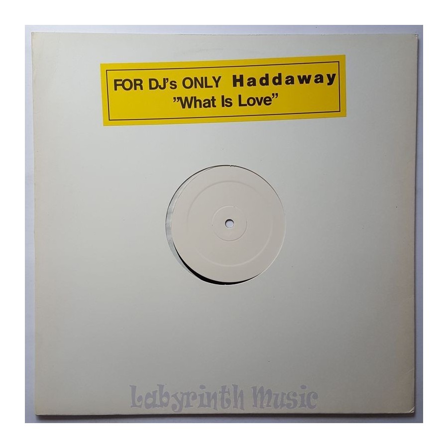 Haddaway - What Is Love • 12" Vinyl Maxi • MINT - Labyrinth Music