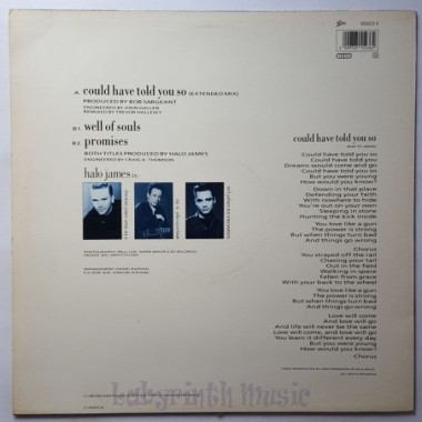 Halo James - Could Have Told You So • 12" Vinyl Maxi - Labyrinth Music