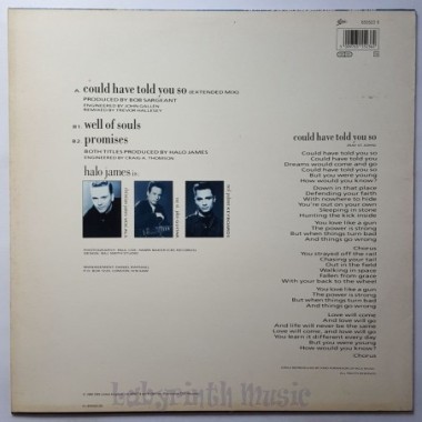 Halo James - Could Have Told You So • 12" Vinyl Maxi • EX - Labyrinth Music