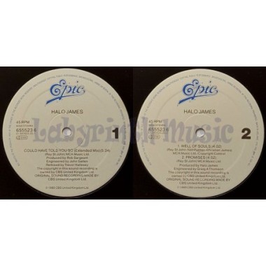 Halo James - Could Have Told You So • 12" Vinyl Maxi • EX - Labyrinth Music