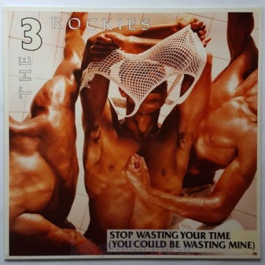 The 3 Rockies - Stop Wasting Your Time • 12" Vinyl Maxi • MINT - Labyrinth Music