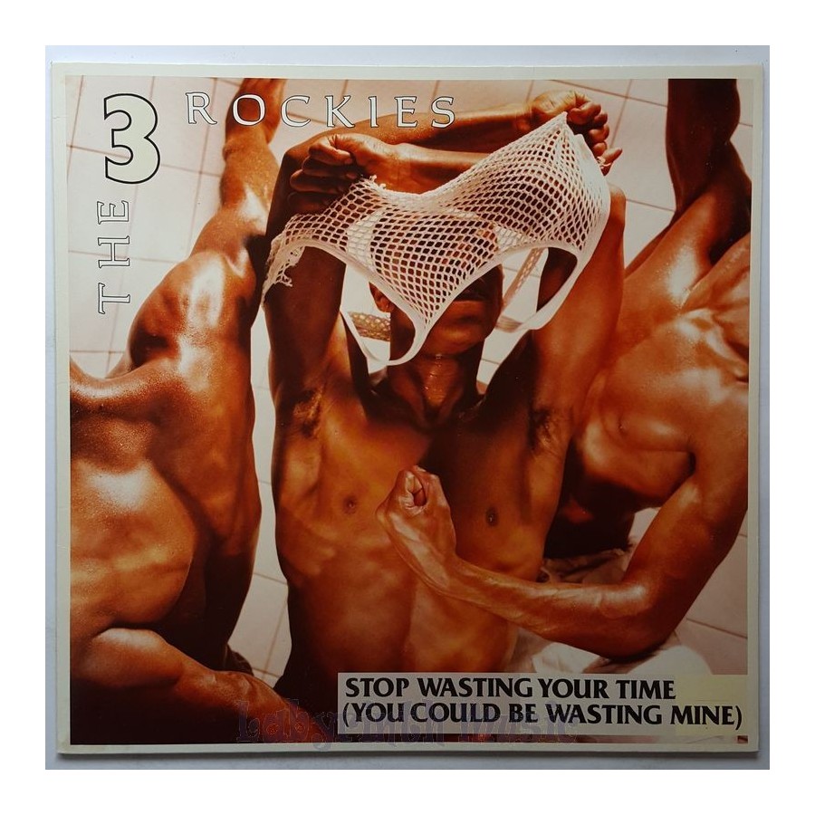 The 3 Rockies - Stop Wasting Your Time • 12" Vinyl Maxi • MINT - Labyrinth Music