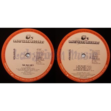 Aquarius - Na Na Hey • 12" Vinyl Maxi • EX - Labyrinth Music
